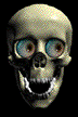 Skeleton/Skull Animations