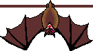 Vampire/Bat Animations